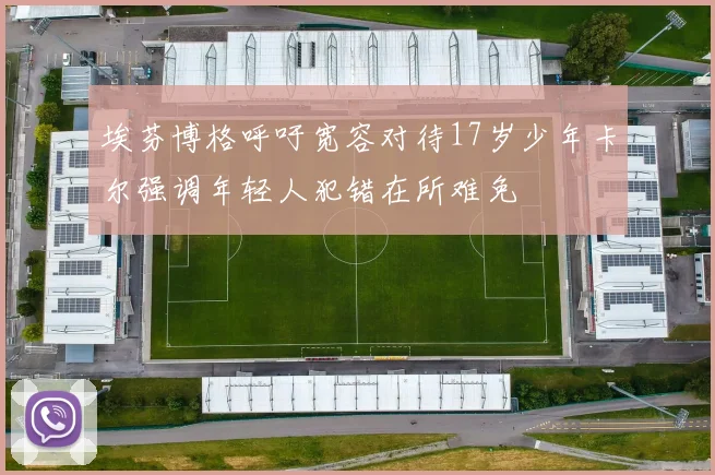 埃芬博格呼吁宽容对待17岁少年卡尔强调年轻人犯错在所难免